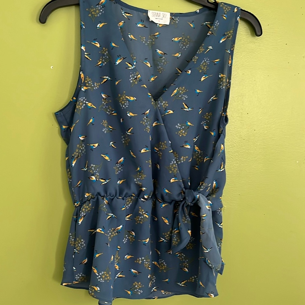 NWOT Sienna Sky Bird Top